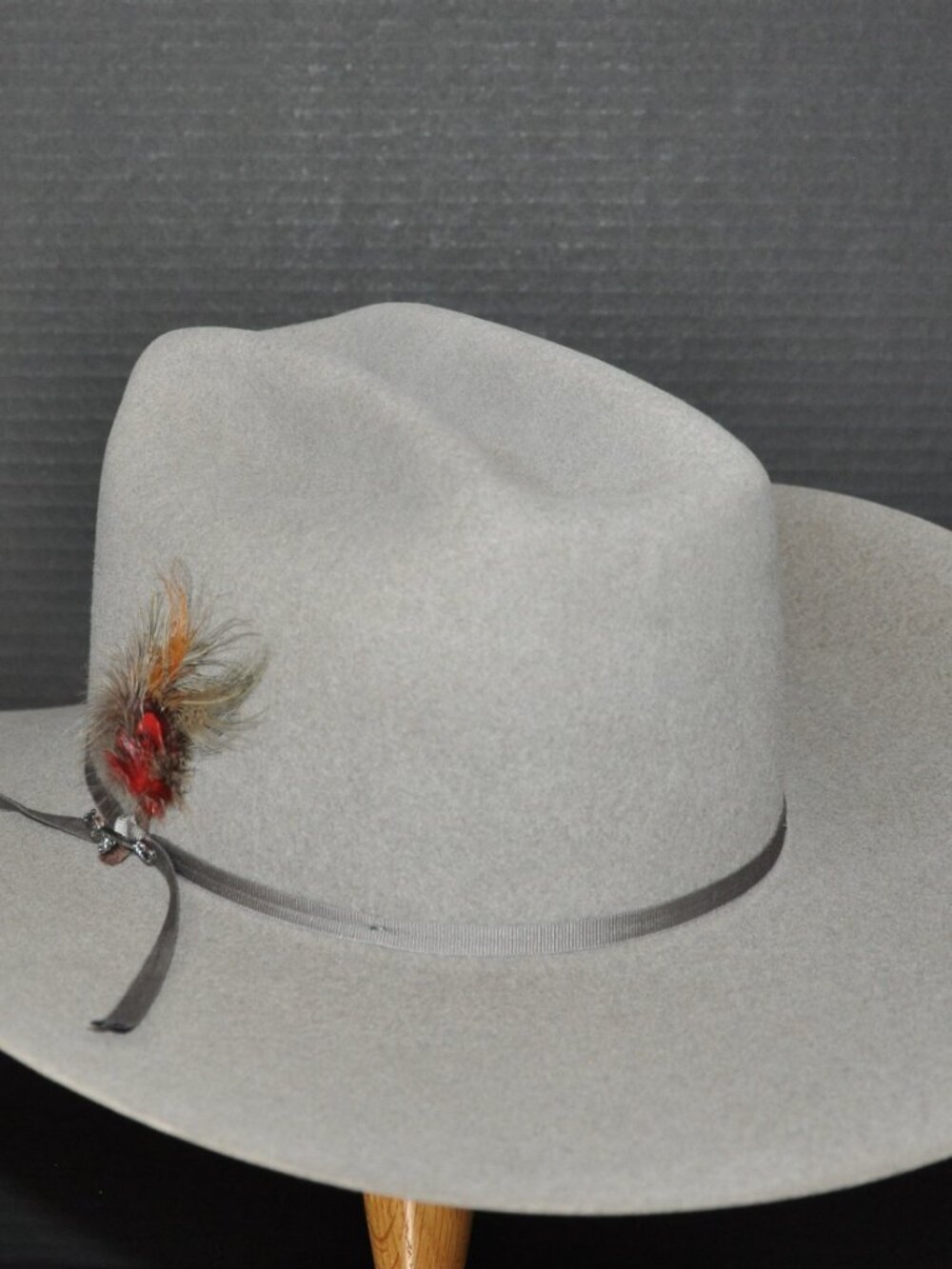 Stetson Falcon - Picture 4 of 7